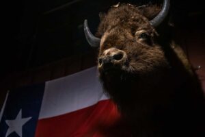 Wild West Steakhouse Texas – Gastlichkeit im Steakhaus